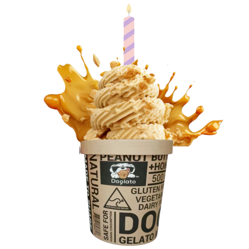 Doglato Birthdaycake Mix Peanutbutter&Honey 500g