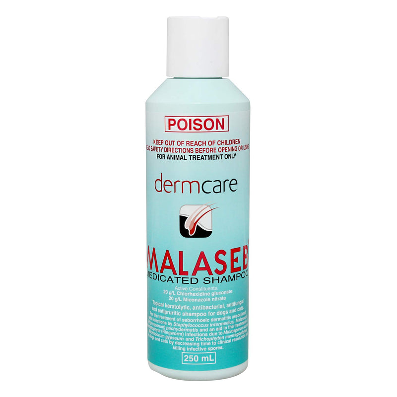 MALASEB Medicated Shampoo 500ml